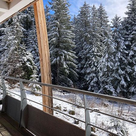 Studio Chamrousse 1700 Pour 4 Personnes - Au Calme - Avec Wifi Exteriér fotografie