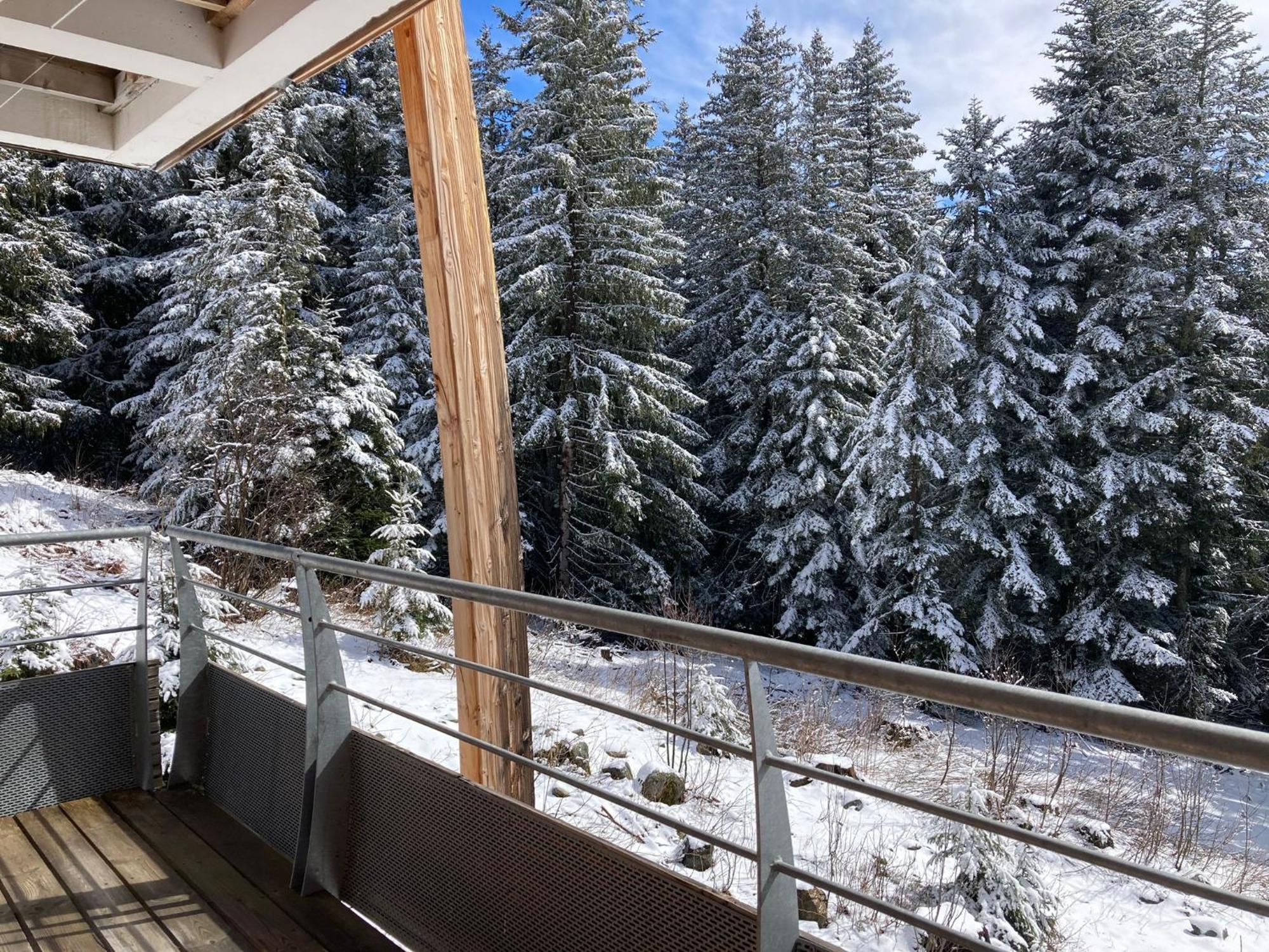 Studio Chamrousse 1700 Pour 4 Personnes - Au Calme - Avec Wifi Exteriér fotografie